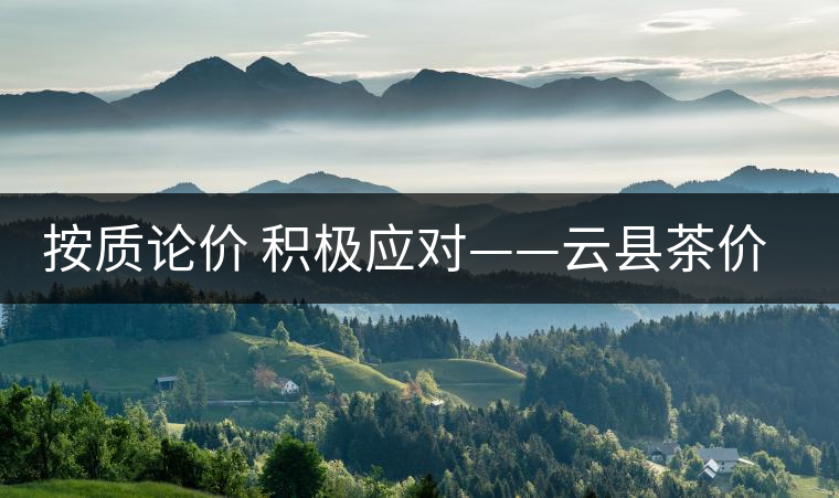 按質論價 積極應對——云縣茶價實現理性回歸