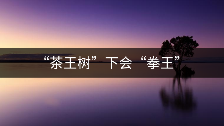 “茶王樹(shù)”下會(huì)“拳王” “茶王樹(shù)”下會(huì)“拳王”