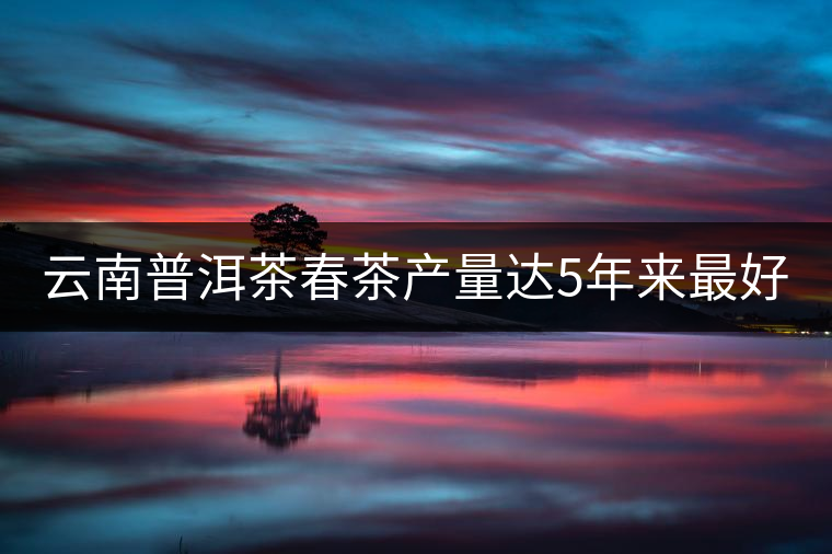 云南普洱茶春茶產(chǎn)量達(dá)5年來(lái)最好 云南普洱茶春茶產(chǎn)量達(dá)5年來(lái)最好