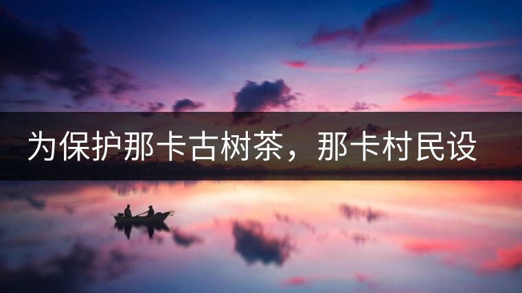 為保護(hù)那卡古樹茶，那卡村民設(shè)公約牌