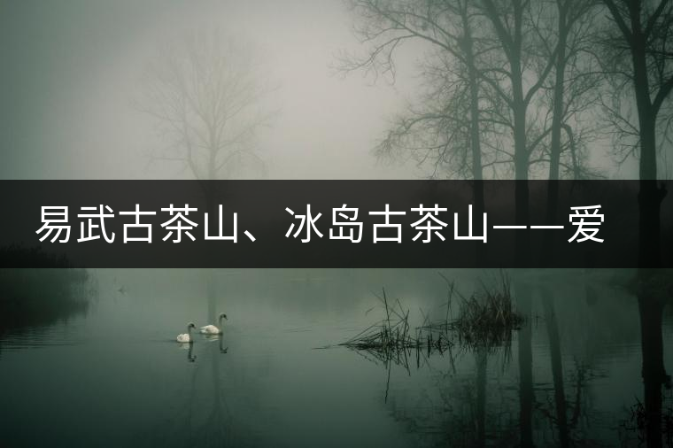 易武古茶山、冰島古茶山——愛茶人的旅游選擇