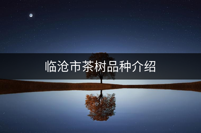 臨滄市茶樹(shù)品種介紹
