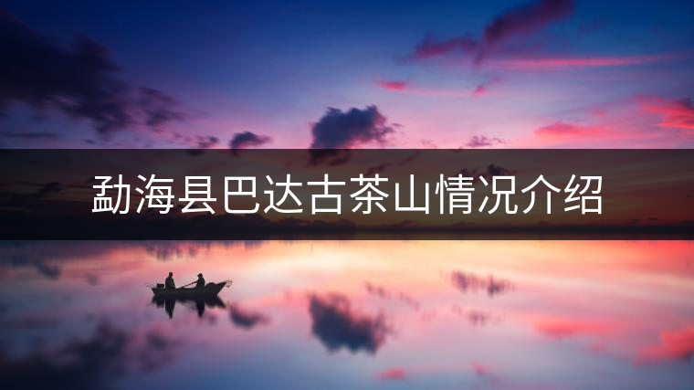 勐?？h巴達(dá)古茶山情況介紹