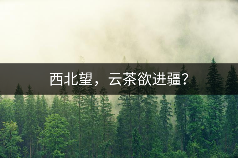 西北望，云茶欲進(jìn)疆？