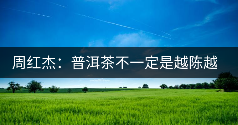 周紅杰：普洱茶不一定是越陳越香、越陳越好