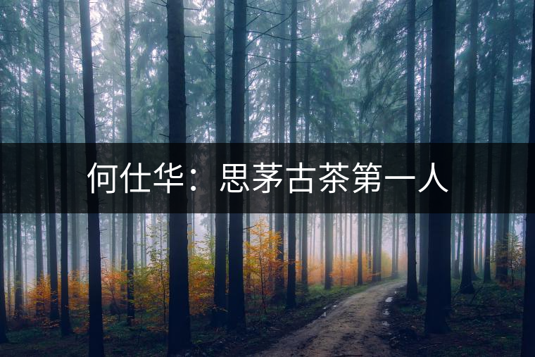 何仕華：思茅古茶第一人