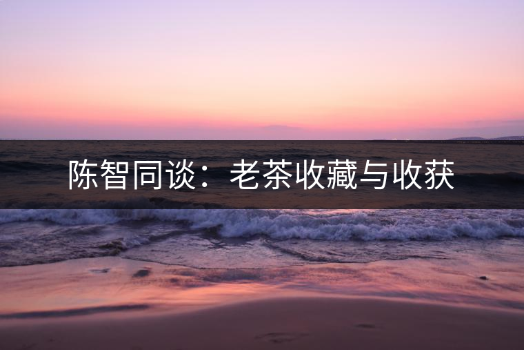 陳智同談：老茶收藏與收獲