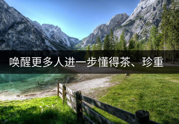 喚醒更多人進(jìn)一步懂得茶、珍重茶、享受茶