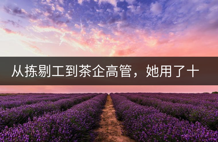 從揀剔工到茶企高管，她用了十年時間