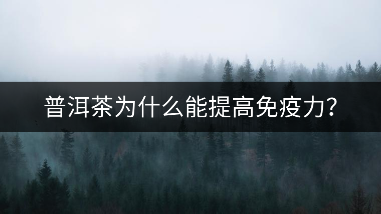 普洱茶為什么能提高免疫力？