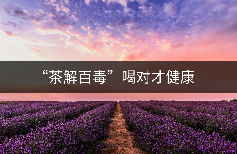 “茶解百毒”喝對才健康