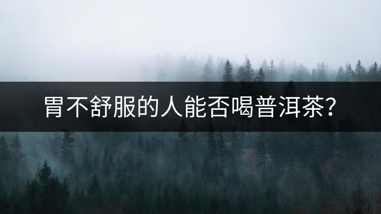 胃不舒服的人能否喝普洱茶？