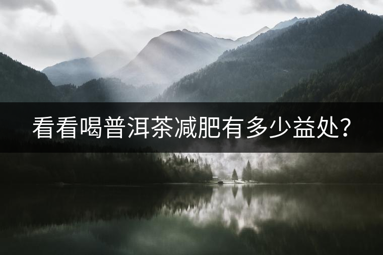 看看喝普洱茶減肥有多少益處？