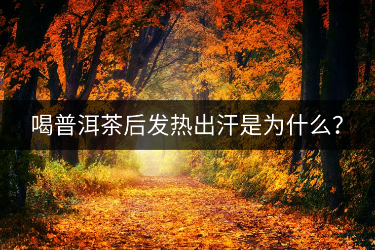 喝普洱茶后發(fā)熱出汗是為什么？