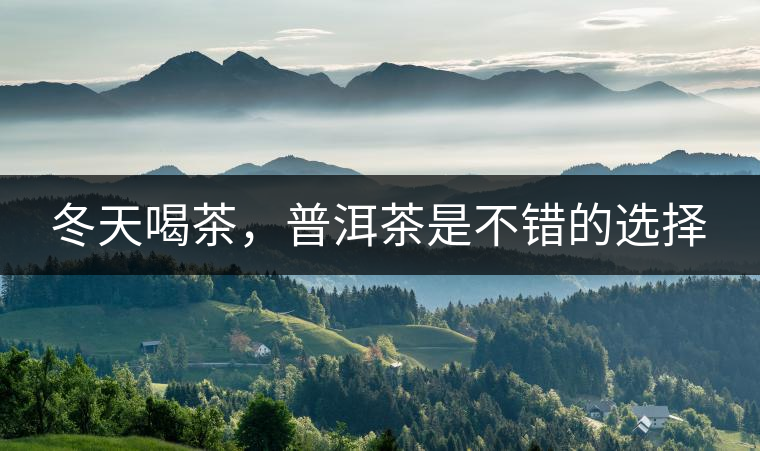 冬天喝茶，普洱茶是不錯(cuò)的選擇