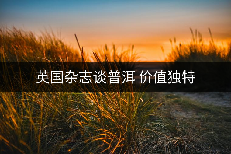 英國(guó)雜志談普洱 價(jià)值獨(dú)特 英國(guó)雜志談普洱 價(jià)值獨(dú)特