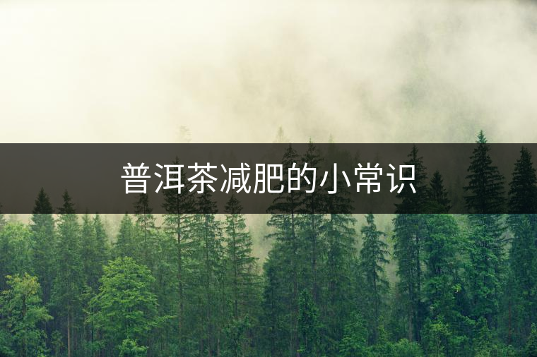 普洱茶減肥的小常識