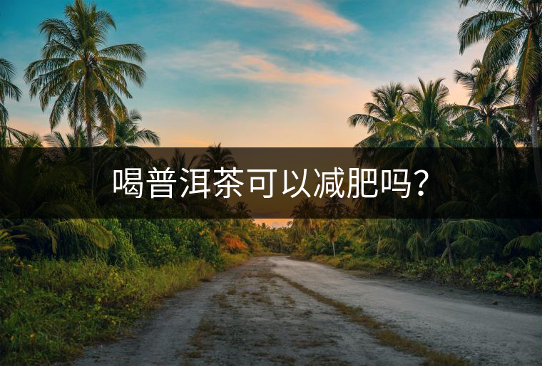 喝普洱茶可以減肥嗎？