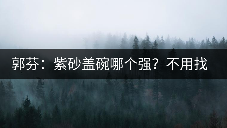 郭芬：紫砂蓋碗哪個(gè)強(qiáng)？不用找藍(lán)翔