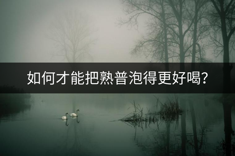 如何才能把熟普泡得更好喝？