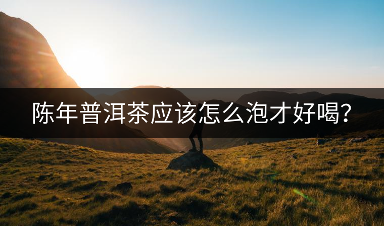 陳年普洱茶應(yīng)該怎么泡才好喝？