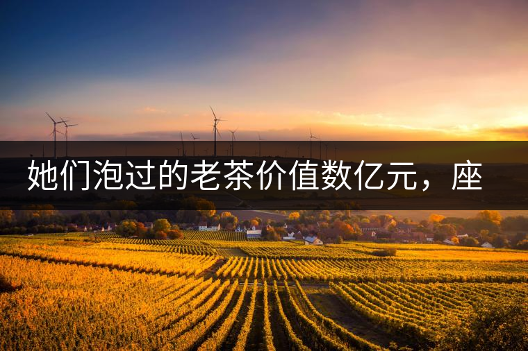 她們泡過的老茶價(jià)值數(shù)億元，座上賓是余秋雨、李云迪……