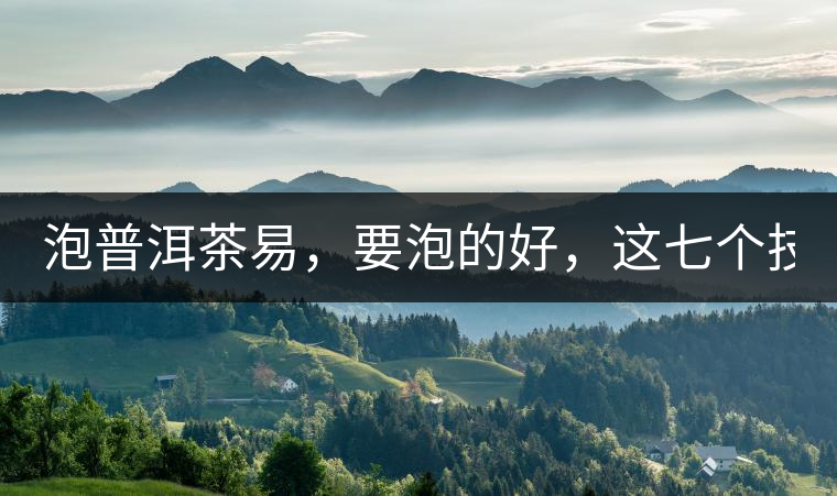 泡普洱茶易，要泡的好，這七個技巧很重要！