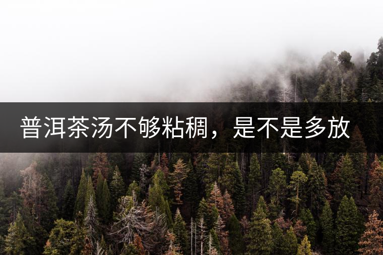 普洱茶湯不夠粘稠，是不是多放些茶葉就好了嗎？