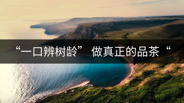 “一口辨樹齡” 做真正的品茶“大師”！