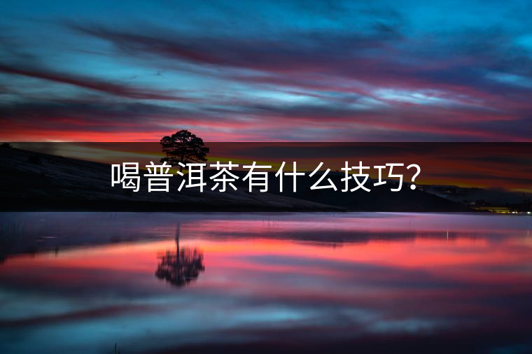 喝普洱茶有什么技巧？