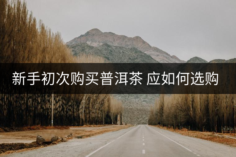 新手初次購買普洱茶 應如何選購？