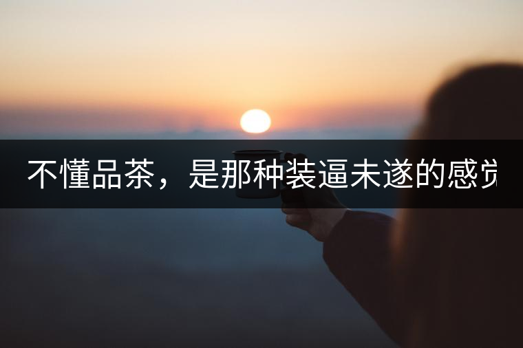 不懂品茶，是那種裝逼未遂的感覺？