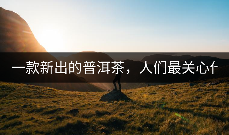 一款新出的普洱茶，人們最關(guān)心什么?