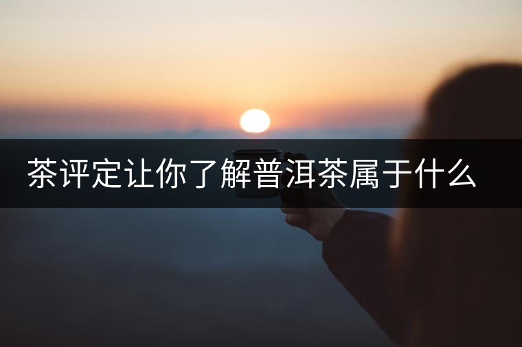 茶評(píng)定讓你了解普洱茶屬于什么茶系？