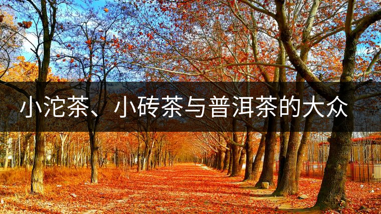 小沱茶、小磚茶與普洱茶的大眾化之路