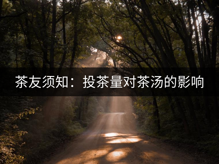 茶友須知:投茶量對(duì)茶湯的影響 茶友須知:投茶量對(duì)茶湯的影響