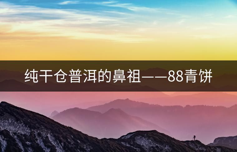 純干倉普洱的鼻祖——88青餅