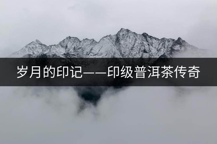 歲月的印記——印級普洱茶傳奇