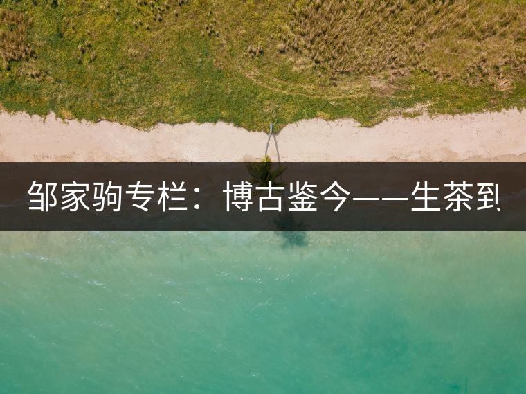 鄒家駒專欄：博古鑒今——生茶到底是不是普洱茶？