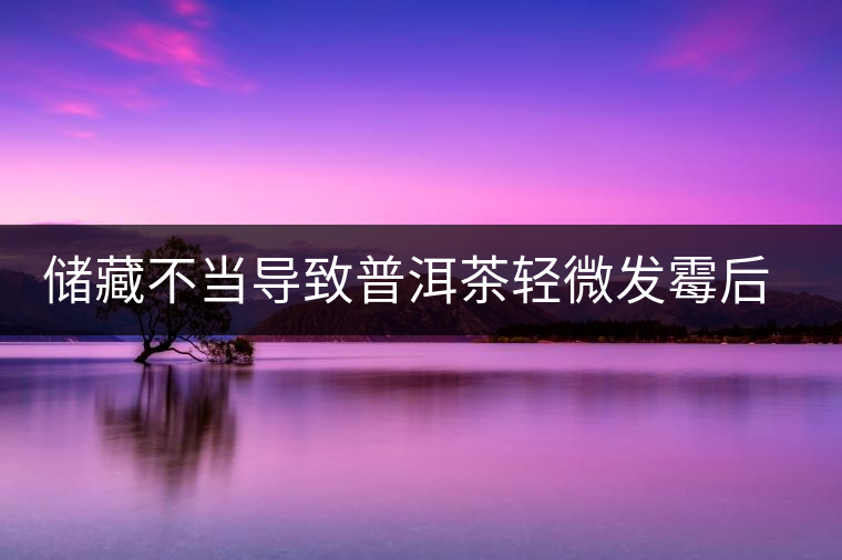 儲藏不當(dāng)導(dǎo)致普洱茶輕微發(fā)霉后如何處理？