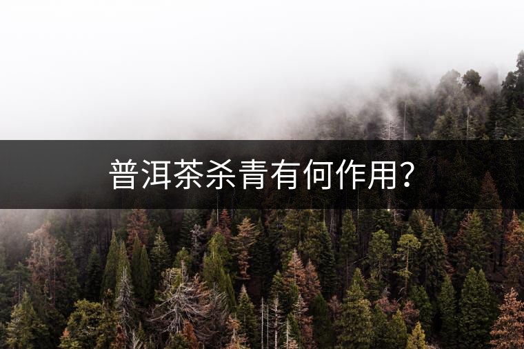 普洱茶殺青有何作用？