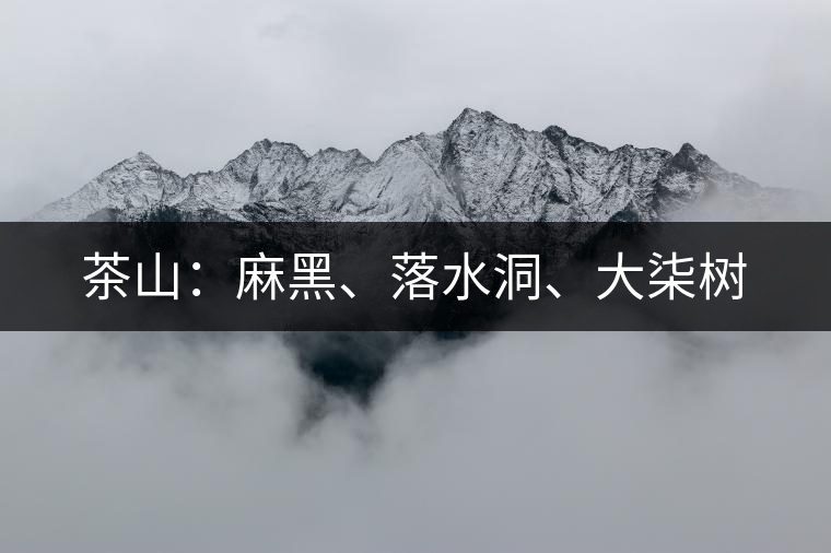 茶山：麻黑、落水洞、大柒樹