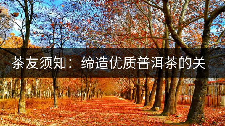 茶友須知:締造優(yōu)質(zhì)普洱茶的關(guān)鍵 茶友須知:締造優(yōu)質(zhì)普洱茶的關(guān)鍵