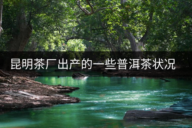 昆明茶廠出產(chǎn)的一些普洱茶狀況是怎樣？