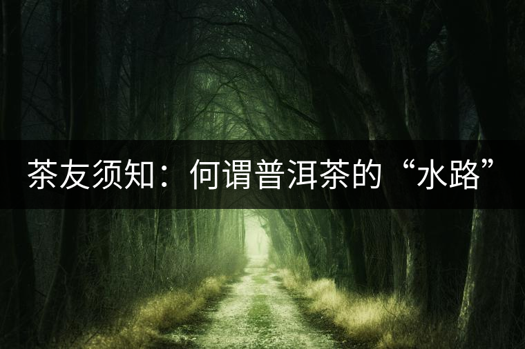 茶友須知：何謂普洱茶的“水路”？