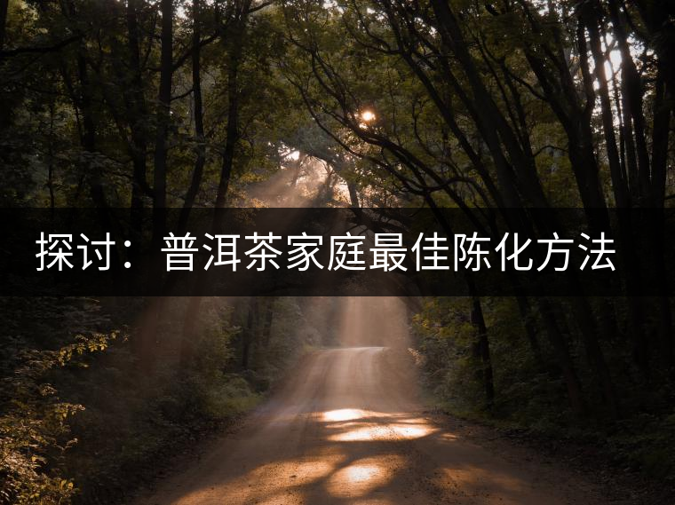 探討：普洱茶家庭最佳陳化方法的猜測