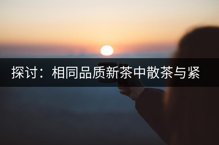 探討：相同品質(zhì)新茶中散茶與緊壓茶哪個好？