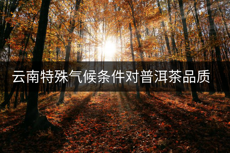 云南特殊氣候條件對普洱茶品質(zhì)的影響