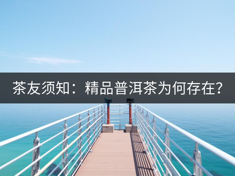 茶友須知：精品普洱茶為何存在？