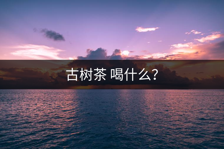 古樹茶 喝什么？